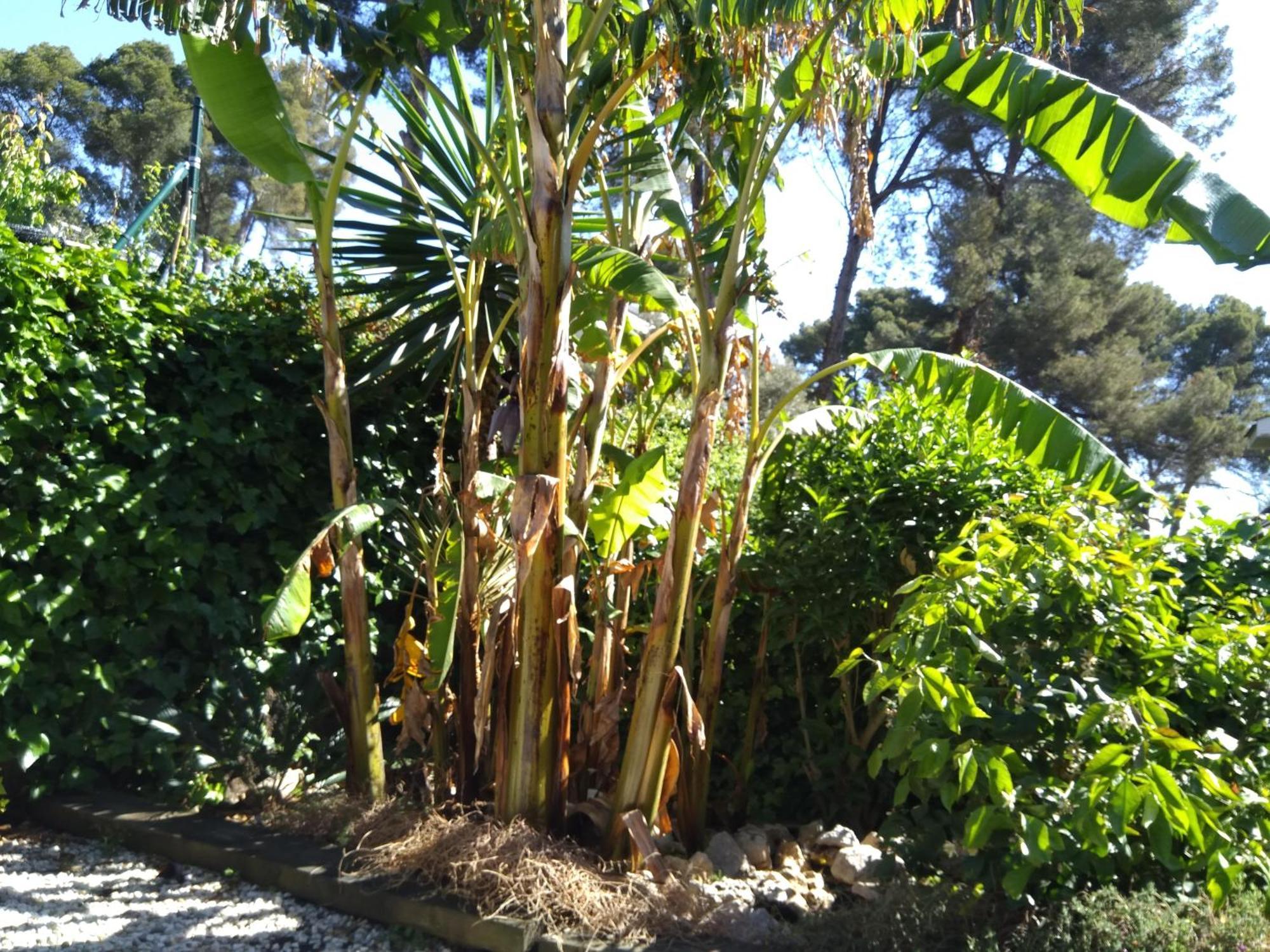 Villa Del Bosque Castelldefels Exteriör bild